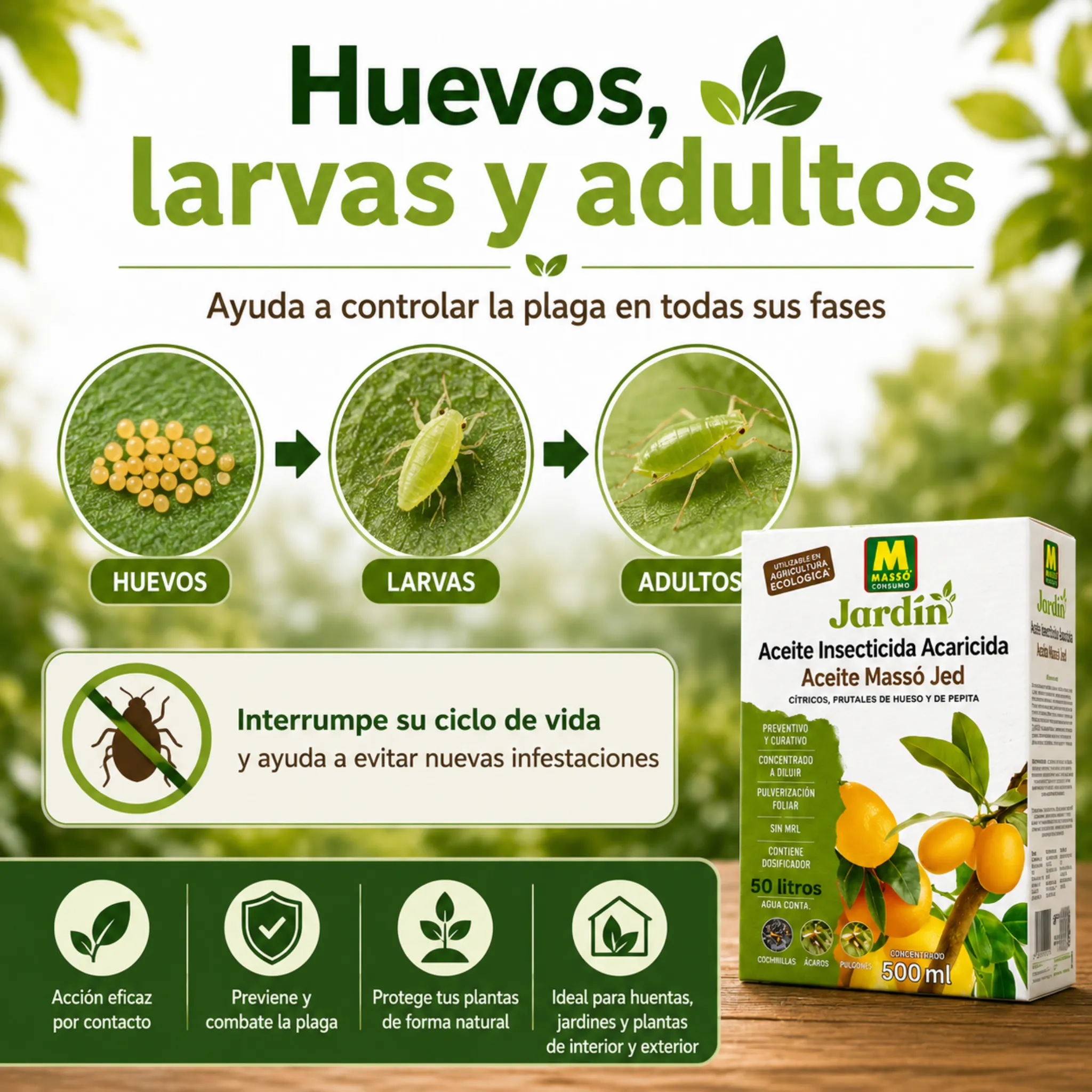 Imagen del producto 5