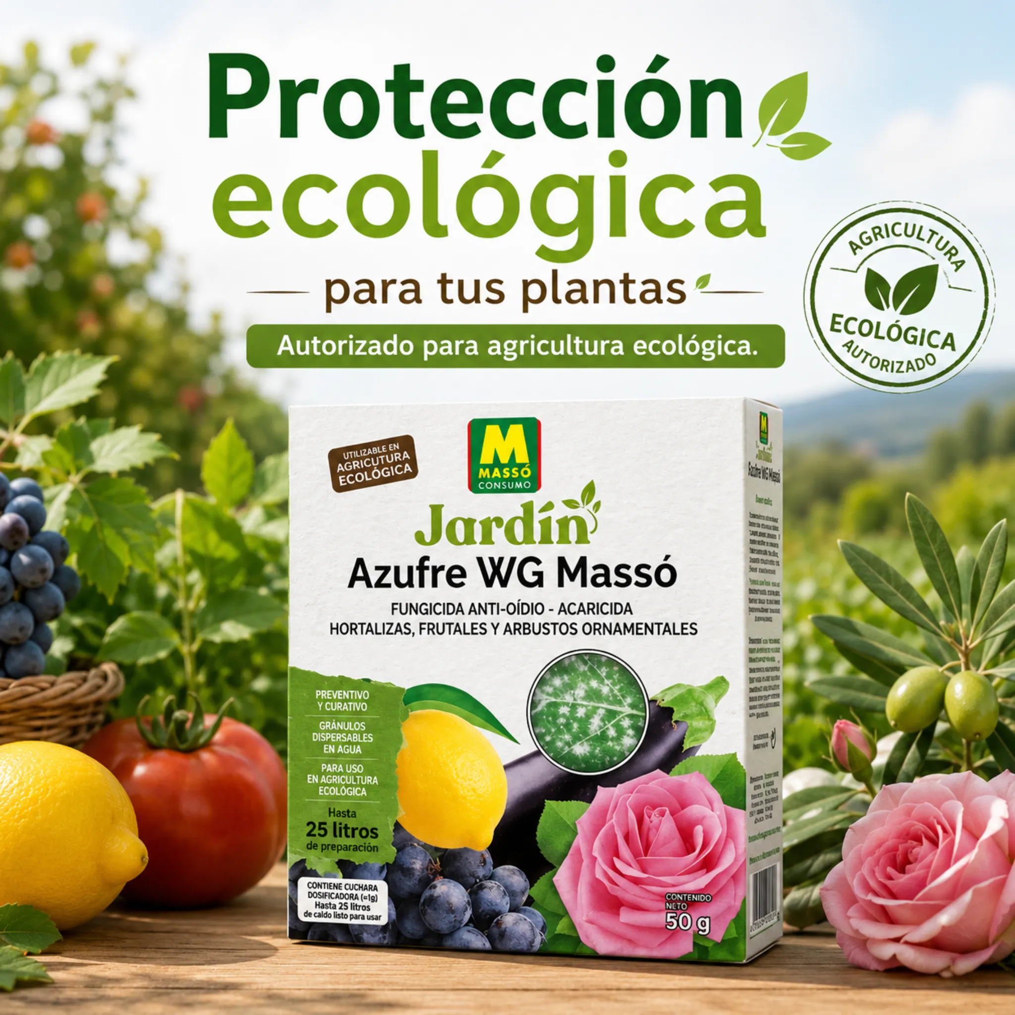 Imagen del producto 4