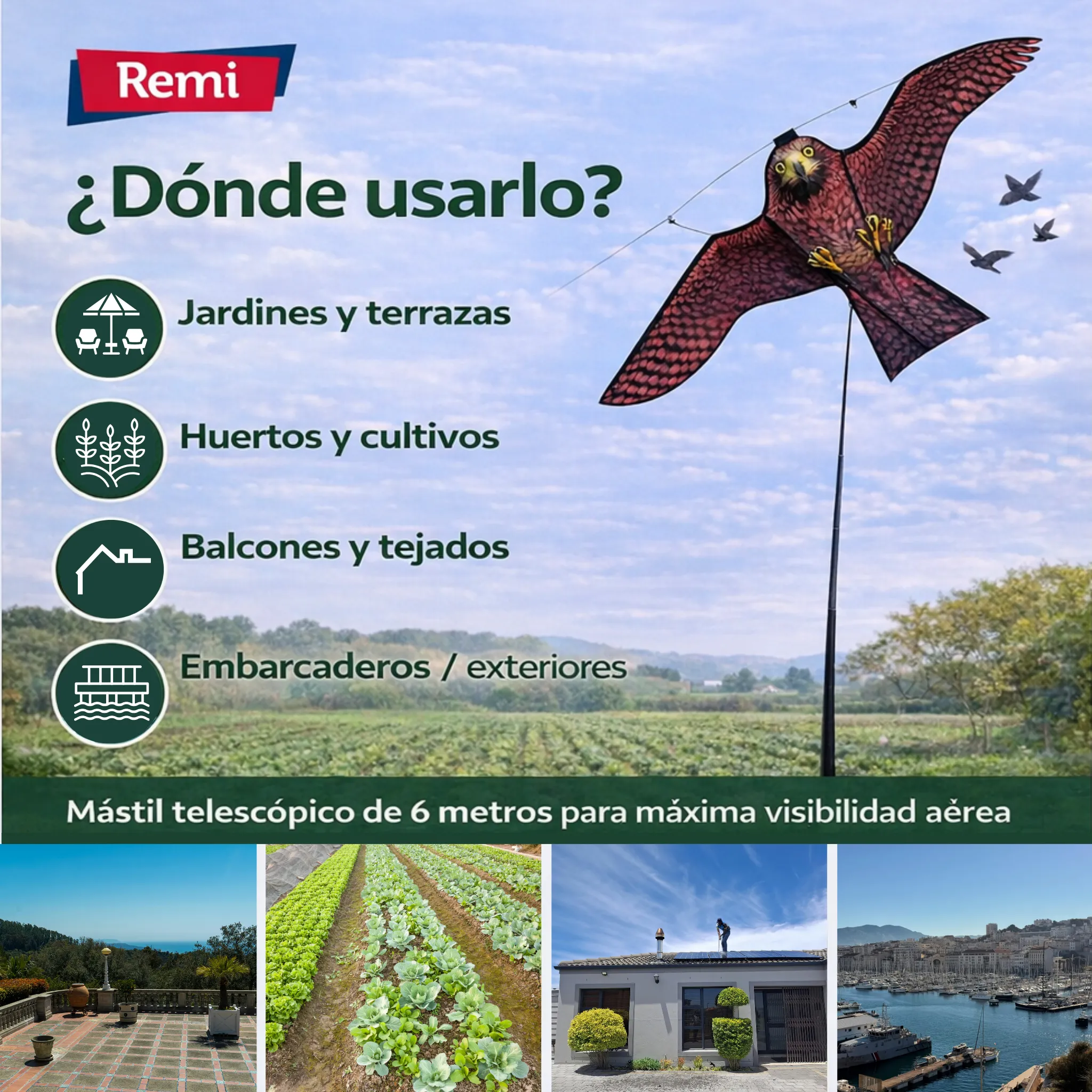 Imagen del producto 7