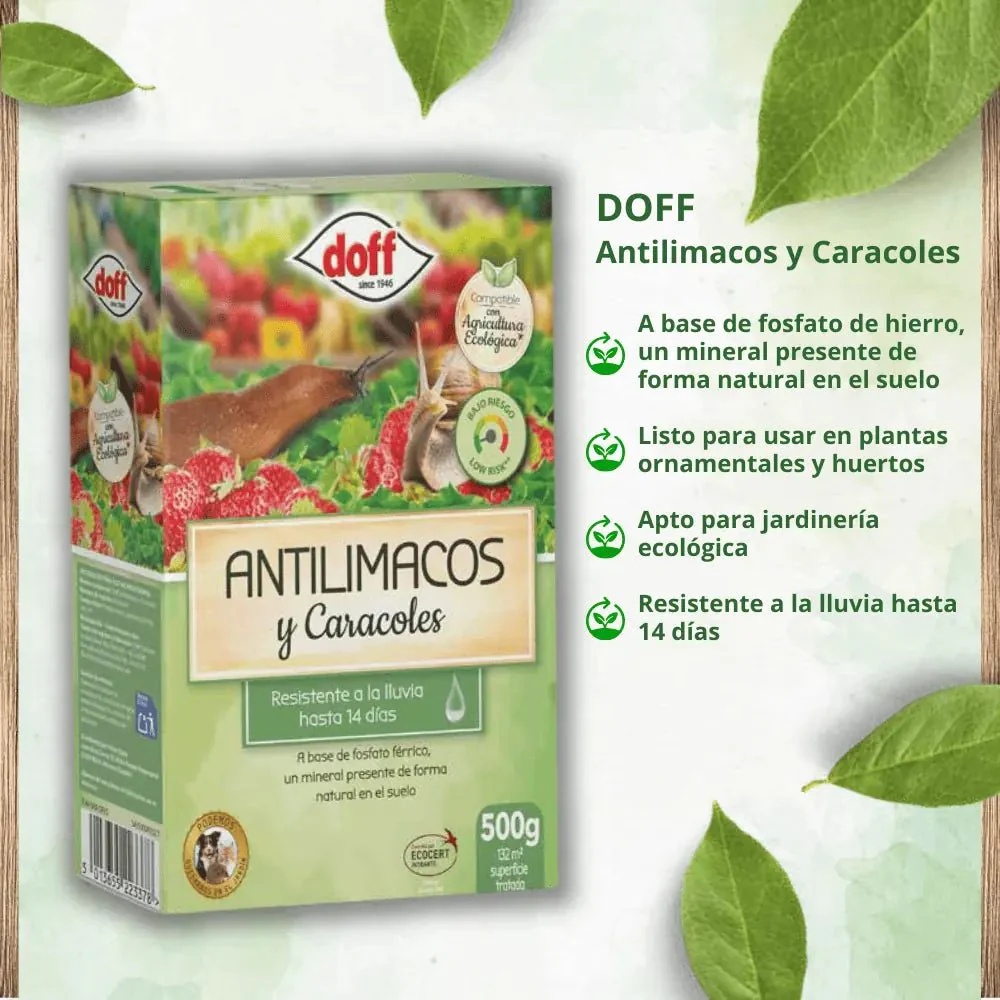 Imagen del producto 2