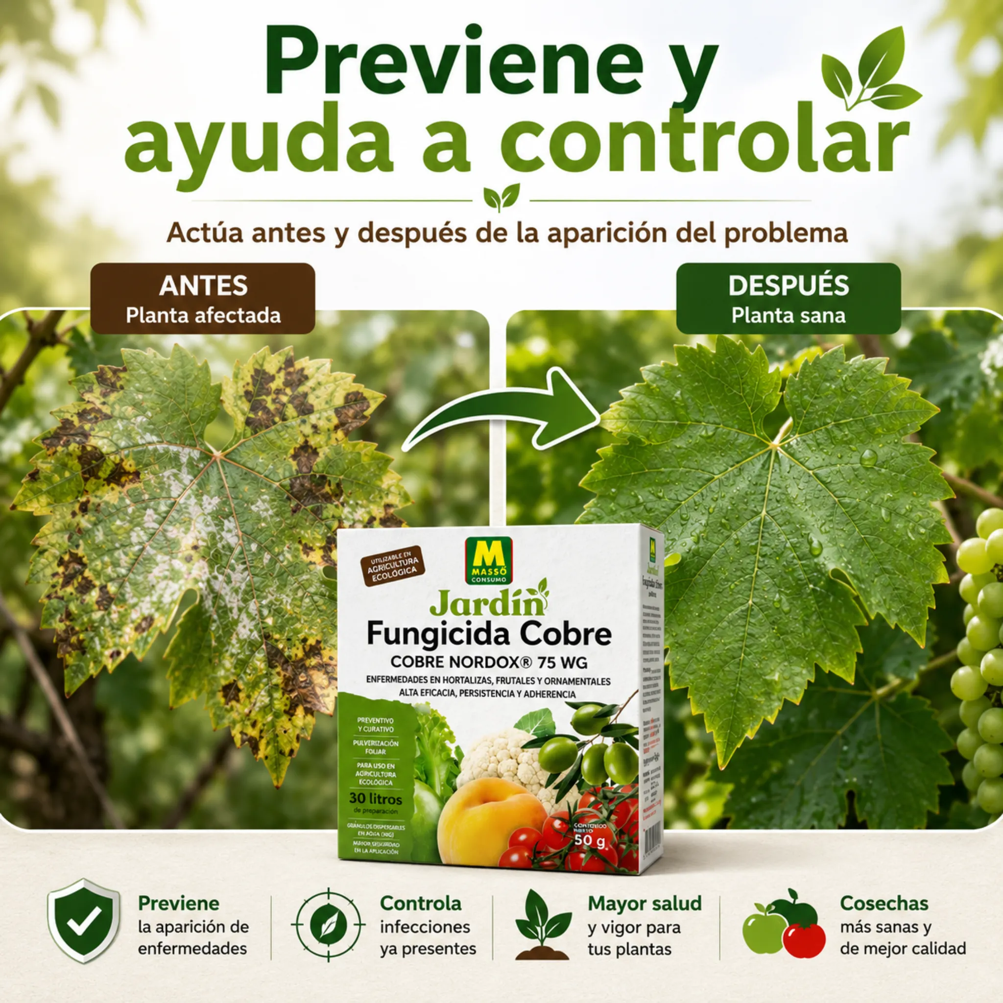 Imagen del producto 6