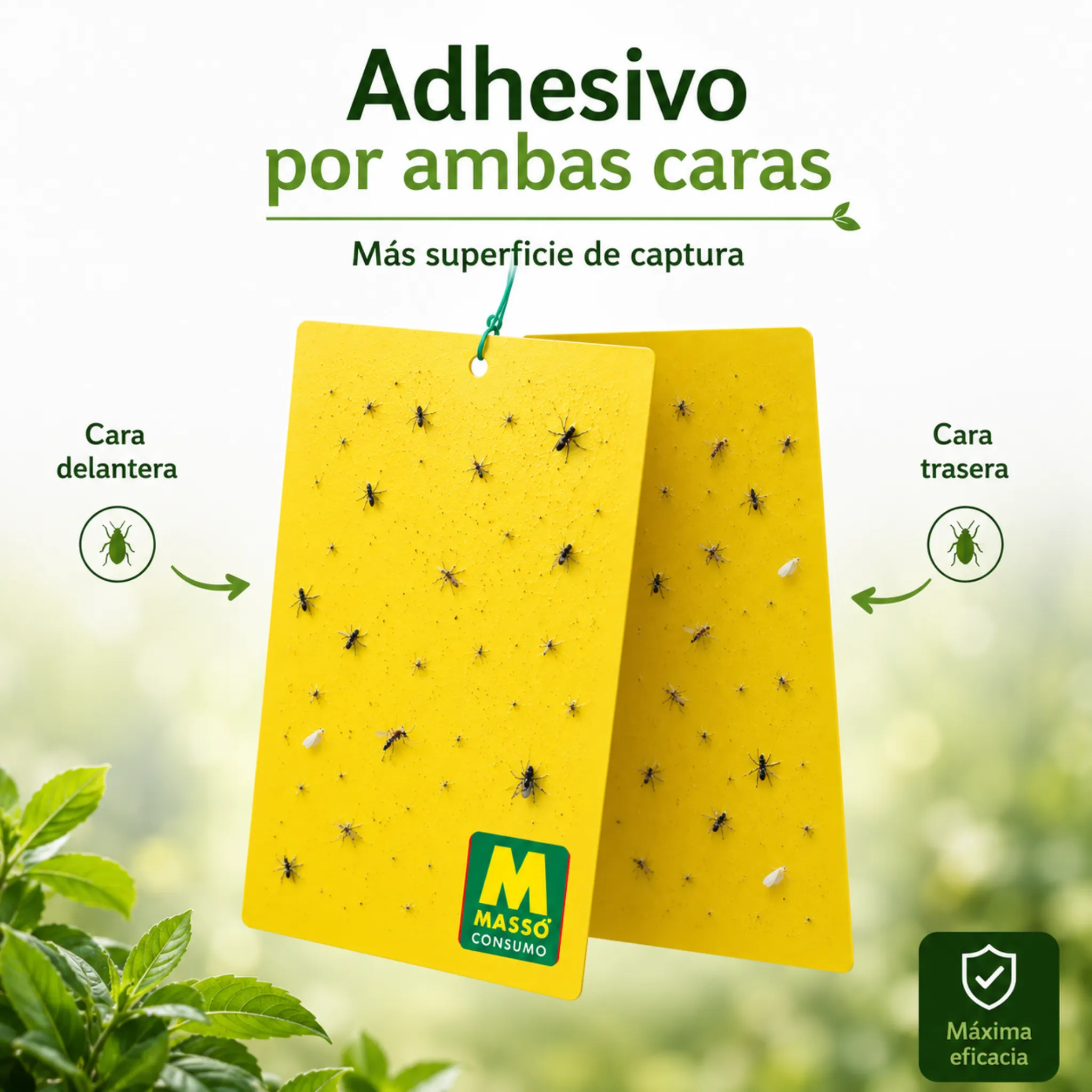 Imagen del producto 6